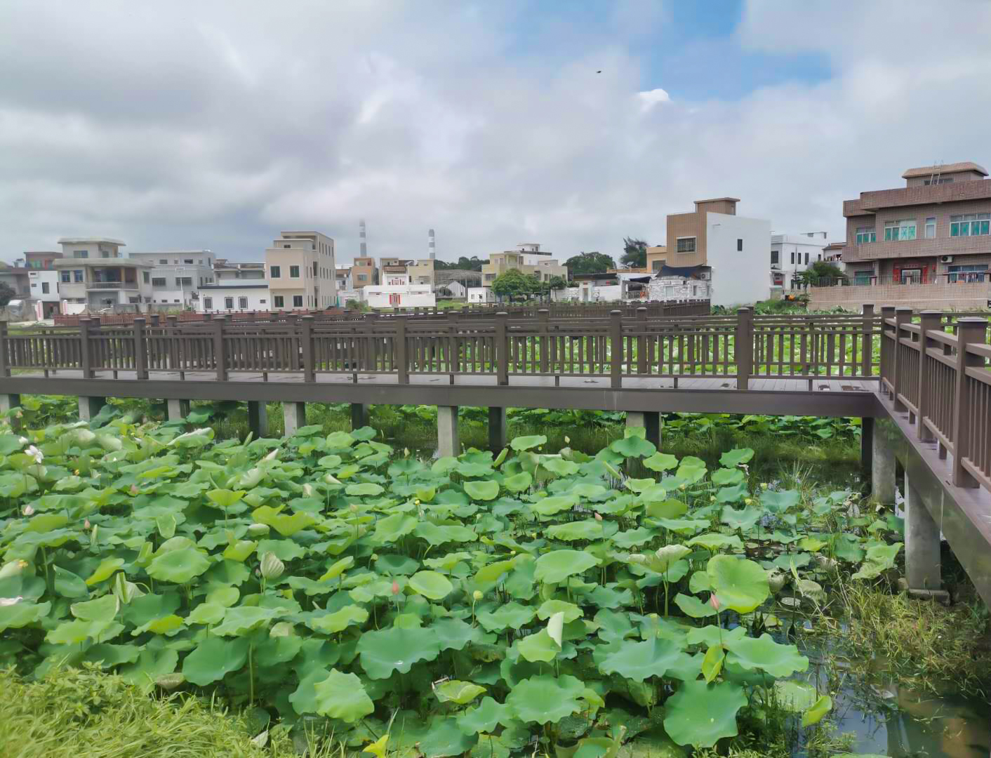 荷塘塑木栈道