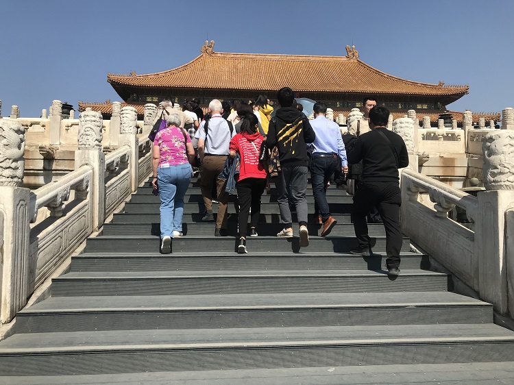 为什么越来越多的旅游景点会使用塑木地板呢?