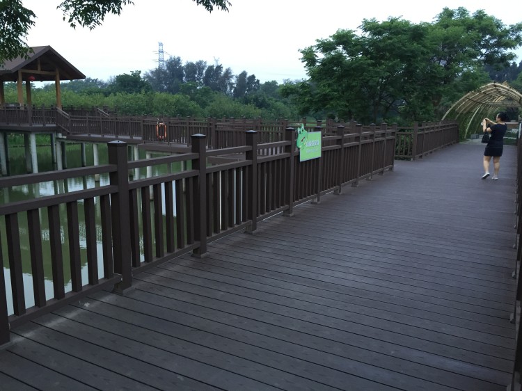深圳海上田园湿地改造案例：百妥木定制塑木护栏守护滨海生态景观